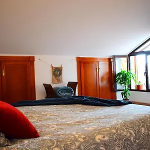 https://el-tico-de-la-casa-viva.es-andalucia.com